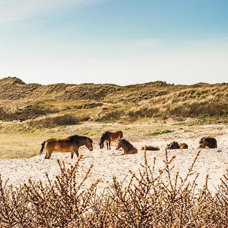 Villa De Bollenschuur à Egmond aan Zee Extérieur photo